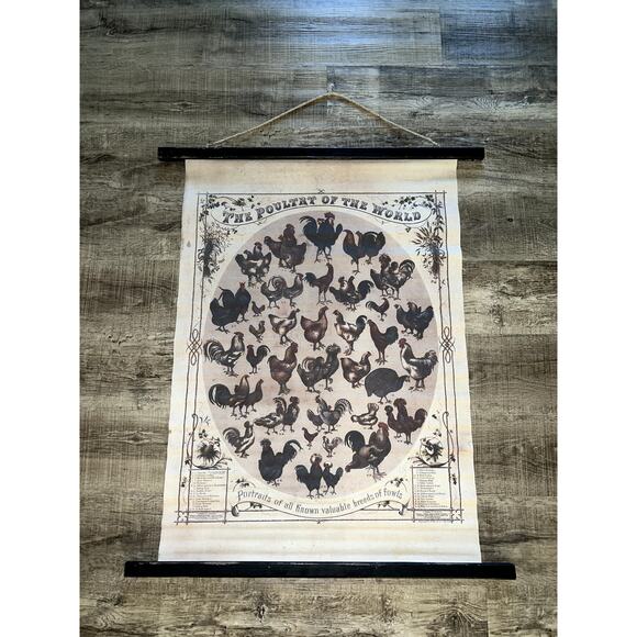 Poultry of the World Art Decor Twine Hanger 33x46 - Picture 1 of 6